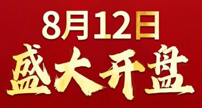 买房抽比亚迪“秦”，8月12日盛大开盘