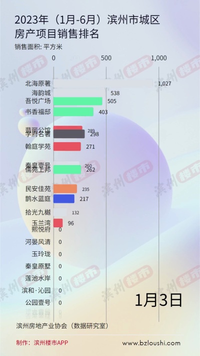 2023年（1月-6月）滨州市城区房产项目销售排行